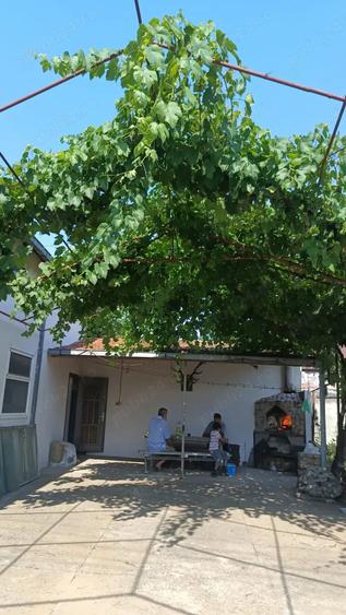 Casă cu 3 camere în Pisc