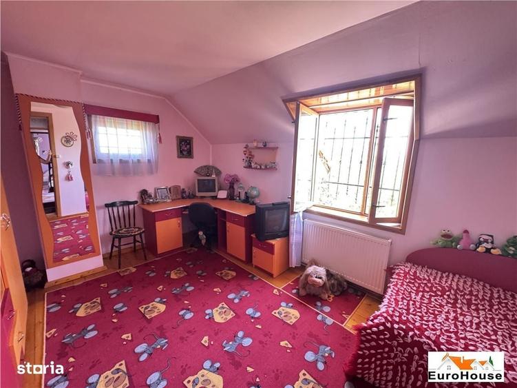 Proprietate deosebita de vanzare in Alba Iulia - 8