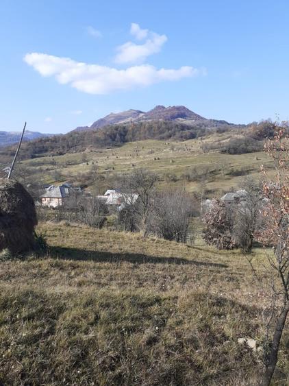Teren Construcții intravilan de 2000 mp, în Poienile Izei