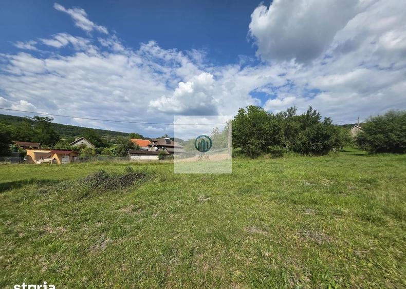 Teren agricol extravilan de 2340 mp, în Șoimuș
