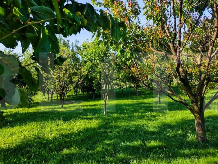 Casă individuală cu 2 camere cu Teren 2382 Mp în Aiton