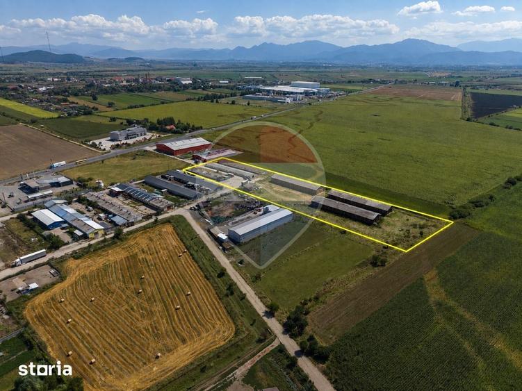 Teren de 17500 mp, în Hălchiu