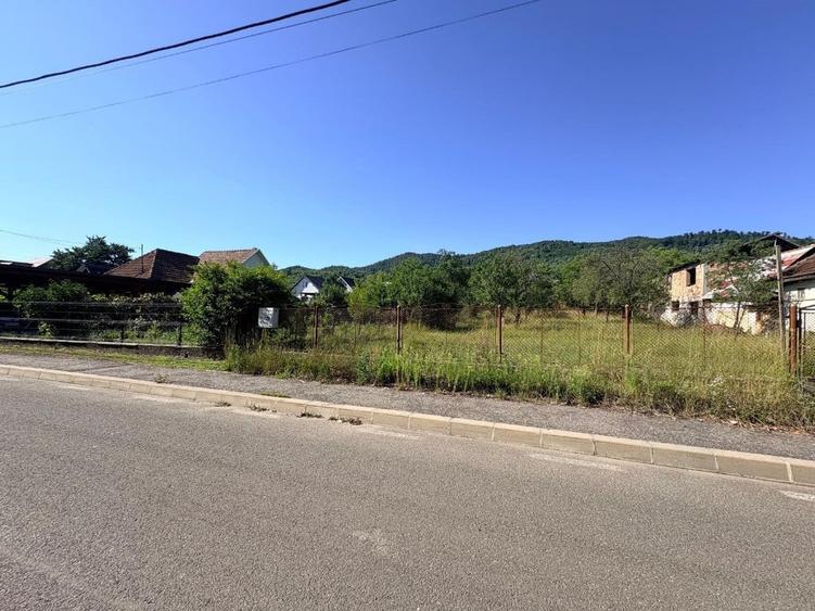 Teren de 1800 mp, în Tăuții de Sus