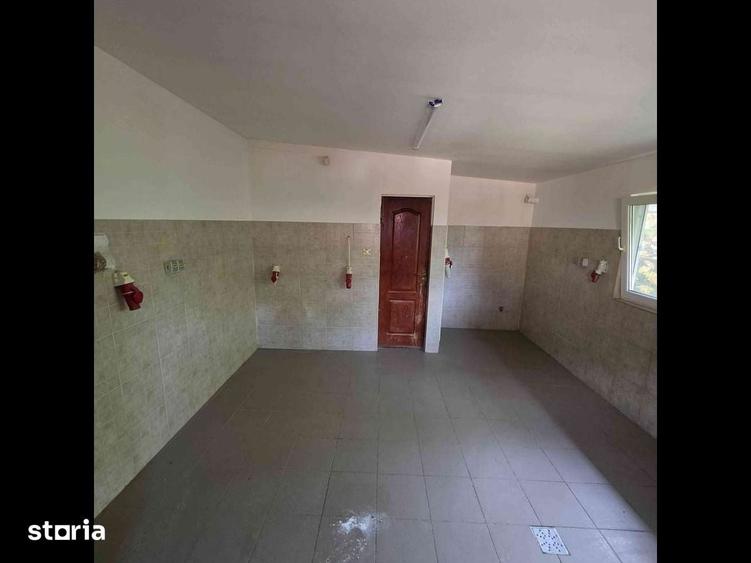 Spațiu comercial, de 60 mp, în Păulești