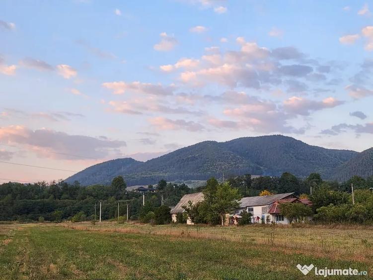 Teren în Alexandru cel Bun