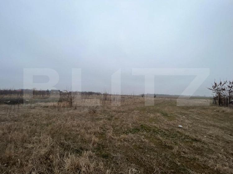 Teren Construcții intravilan de 50000 mp, în Est