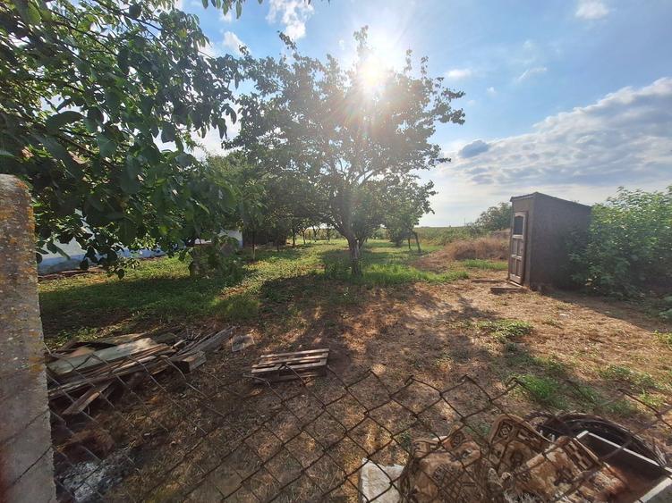 Casa cu teren urias (3.655 mp) in centrul satului Cenalos, com. Saniob la 3 km de Baile Sarcau - 2