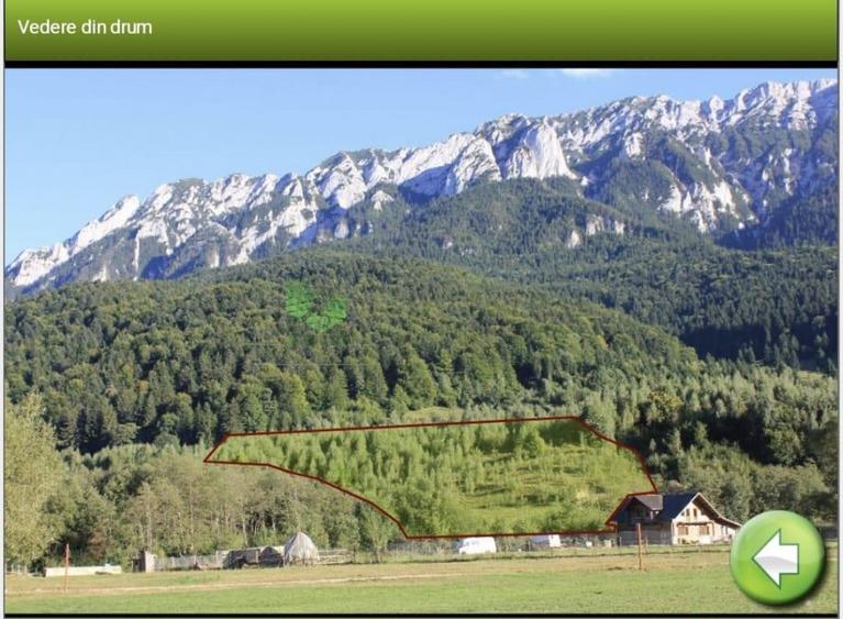 Teren de 12150 mp, în Plaiul Foii