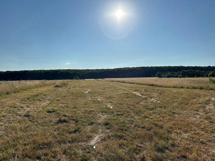 Teren de 4000 mp, în Dragomirna
