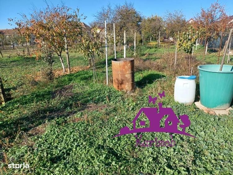 Casă cu 1 camere în Șauaieu