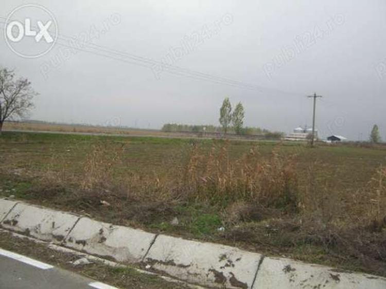 Teren de 15000 mp, în Tișița
