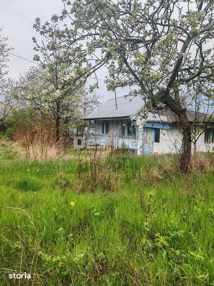 Teren de 3160 mp, în Pușcași