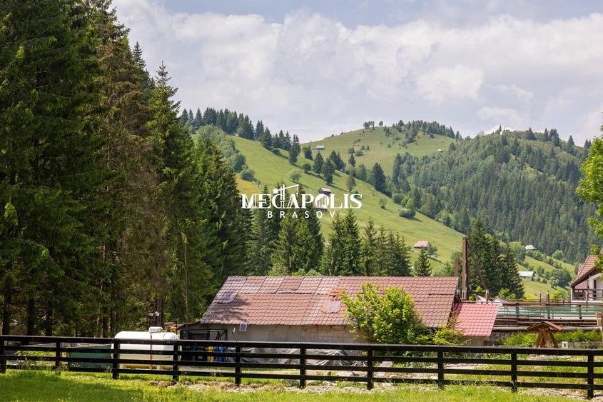 Teren Construcții intravilan de 12307 mp, în Moieciu de Sus