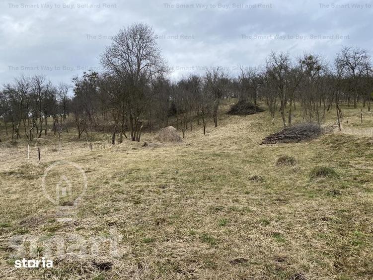 Teren de 5400 mp, în Sava