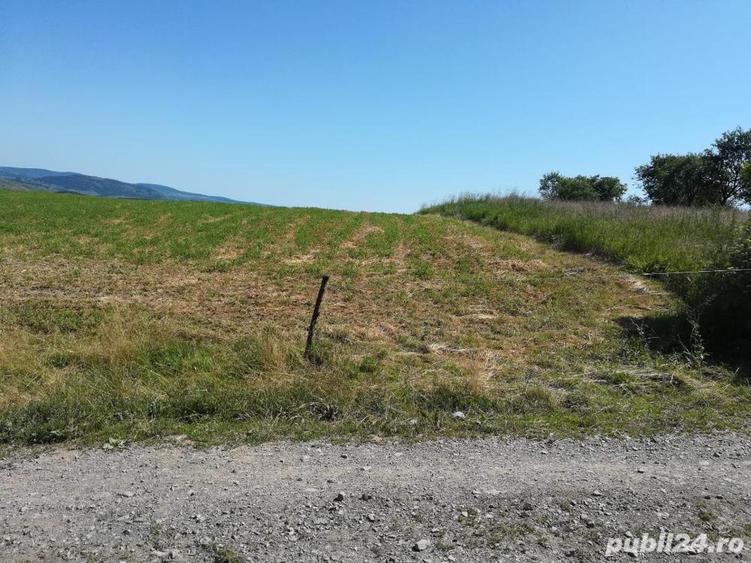 Teren de 3500 mp, în Vechea