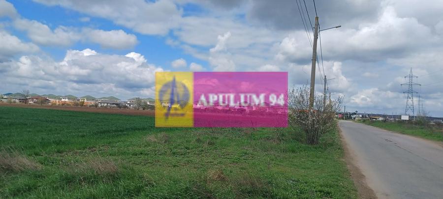 Teren Construcții intravilan de 1000 mp, în Săbăreni