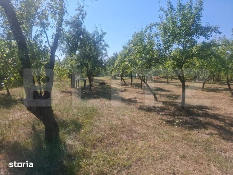 Teren de 2493 mp, în Cobia