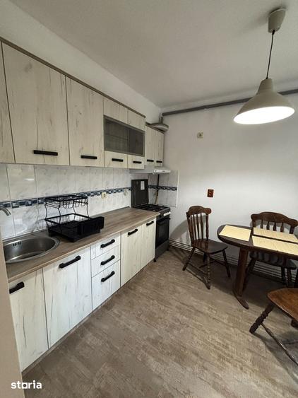 Apartament cu 2 camere, de inchiriat, zona Elisabetin - 6