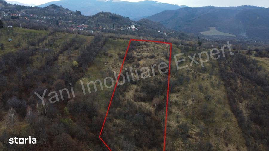 Teren de 14328 mp, în Nucșoara
