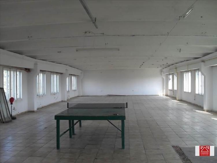 Spațiu industrial, de 7,000 mp, în Sânnicolau Mic