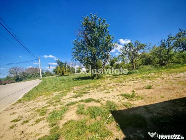 Teren în Central