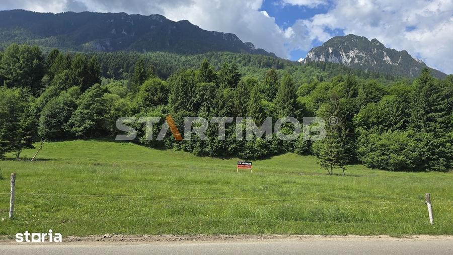 Teren de 7600 mp, în Plaiul Foii