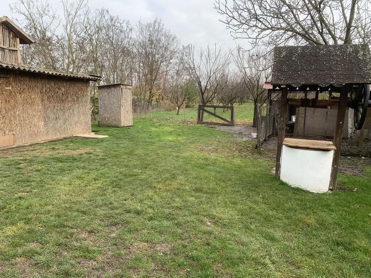 Casă cu 2 camere cu Teren 1400 Mp în Dorobanți