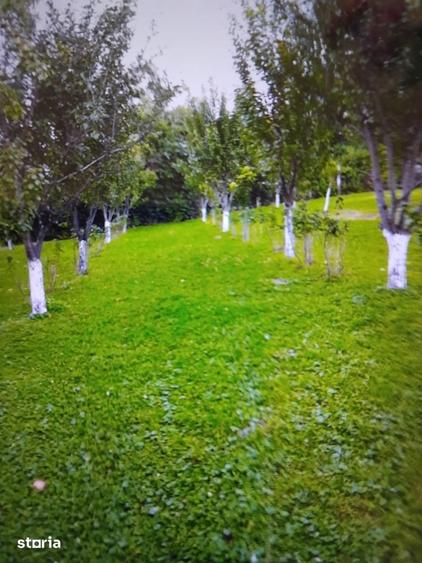 Casă cu 2 camere cu Teren 3500 Mp în Central