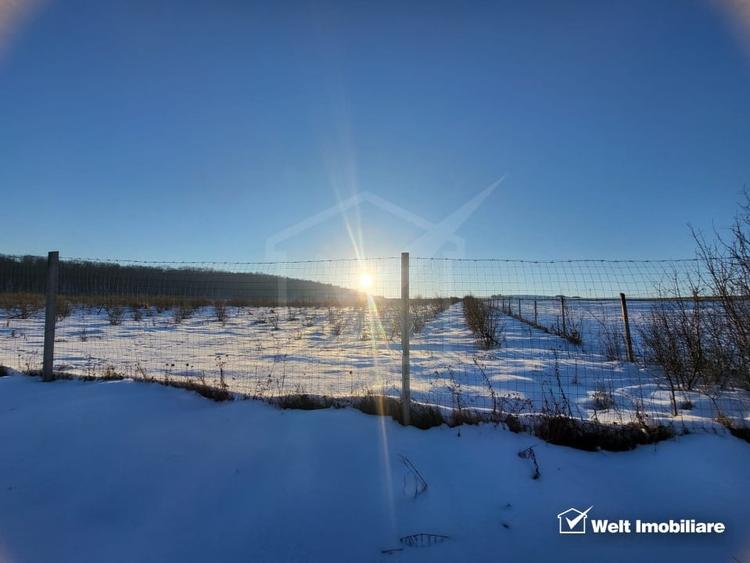 Teren intravilan de 78200 mp, în Frata