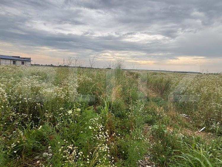Teren intravilan de vânzare, 536 mp/lot, zona Ulmi - 2