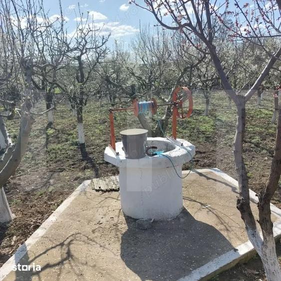 Teren de 1785 mp, în Leorda