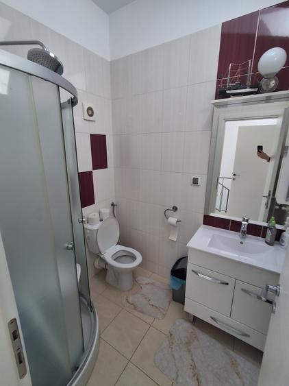 Vanzare Casa/Vila Popesti-Leordeni Ilfov - 14