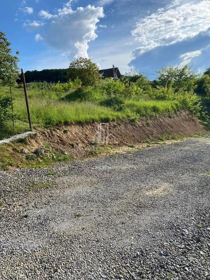 Teren agricol intravilan de 500 mp, în Bărdești