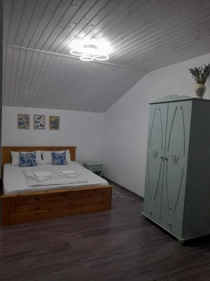 Casă cu 3 camere cu Teren 165 Mp în Sasca Montană