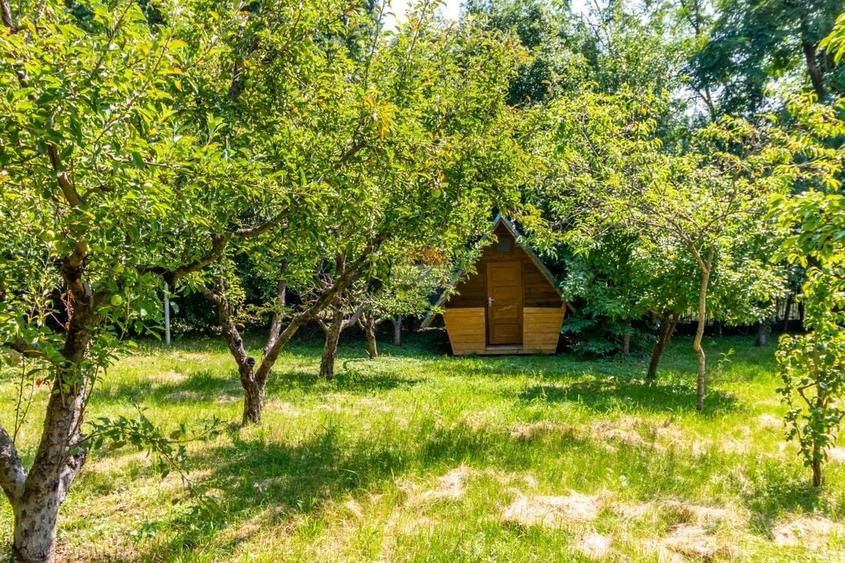 Casă individuală cu 17 camere cu Teren 3425 Mp în Est