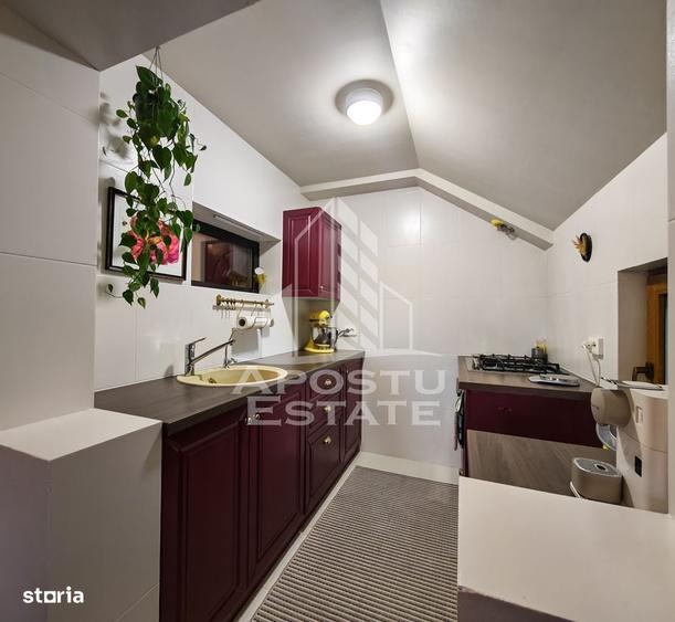 Vila cu 11 camere, renovata, de vanzare, zona Lipovei - 17