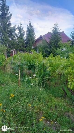 Casă cu 4 camere cu Teren 7729 Mp în Central