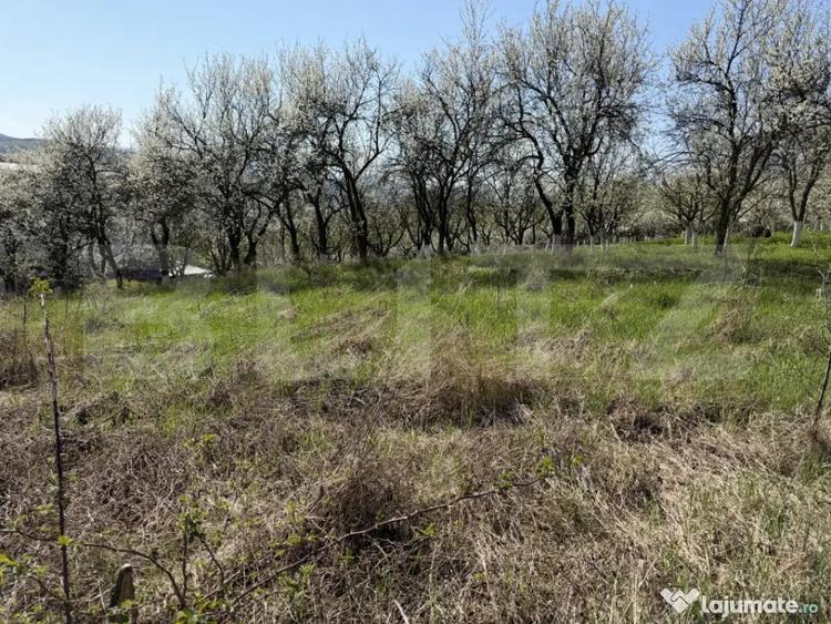 Teren intravilan in localitatea Criseni in suprafata de 2700 - 4