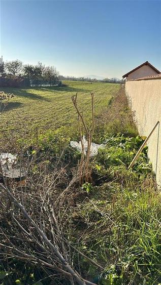Teren Construcții intravilan de 3600 mp, în Stupinii Prejmerului