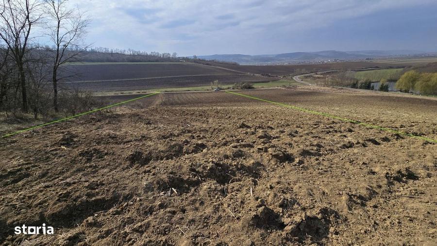 Teren de 7000 mp, în Hoghilag
