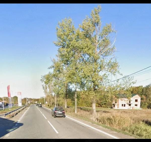 Teren de 5500 mp, în Lintești