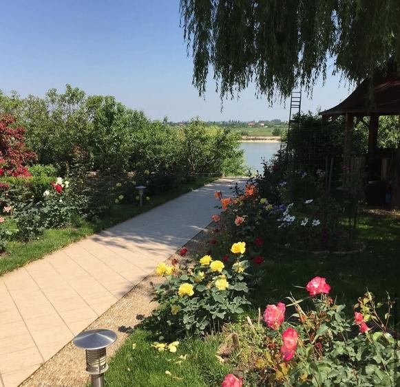 Casă cu 13 camere cu Piscina în Roșu