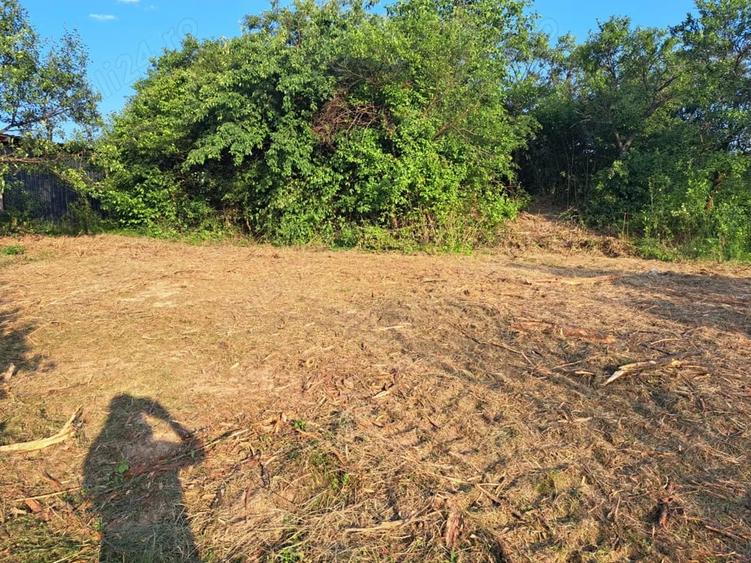 Casa cu anexe gospodaresti si teren aferent, 36 ari. - 2