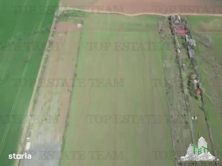 Teren de 24611 mp, în Păulești