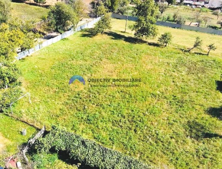 Teren intravilan de 3260 mp, în Chintinici