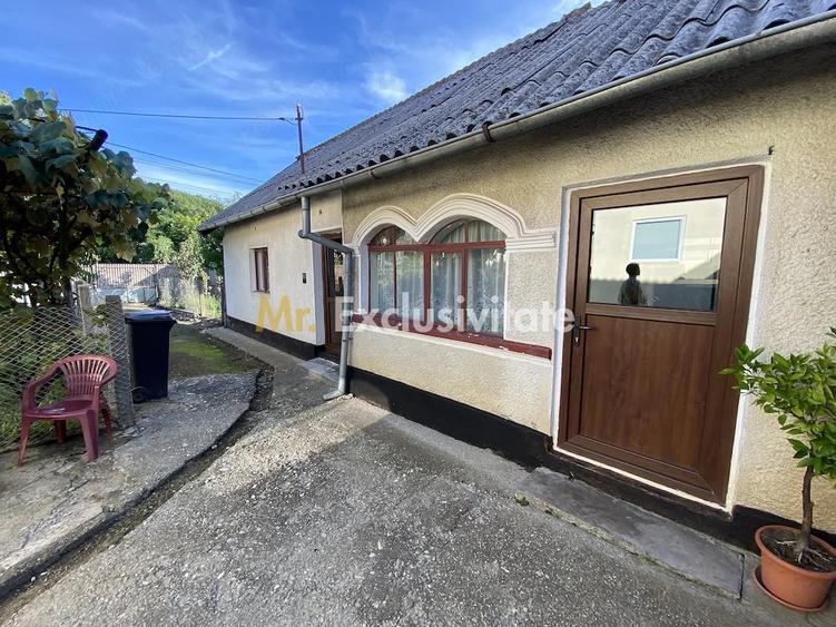 CASA + TEREN 1.002 MP | Stefanesti Valea Mare Enculescu-Arges - 3