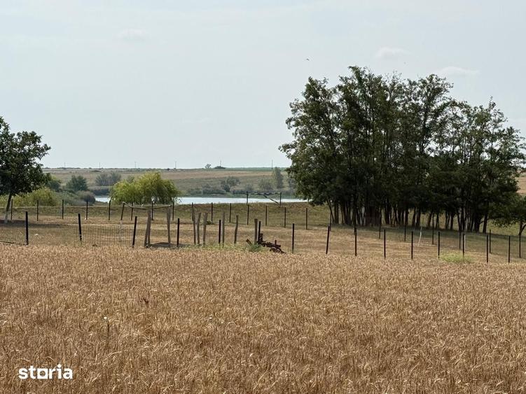 Teren intravilan Miersig, vedere la lac. 12,5 E/mp neg. Comision 0 - 6