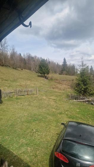 Teren de 100000 mp, în Horea