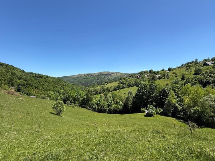 Teren Construcții intravilan de 10479 mp, în Răchițele