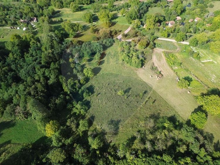 Teren Construcții de 16500 mp, în Măgureni